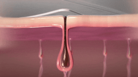 it-1 gif.gif__PID:d5ce9c97-326d-4421-9608-7d08680d9ee1